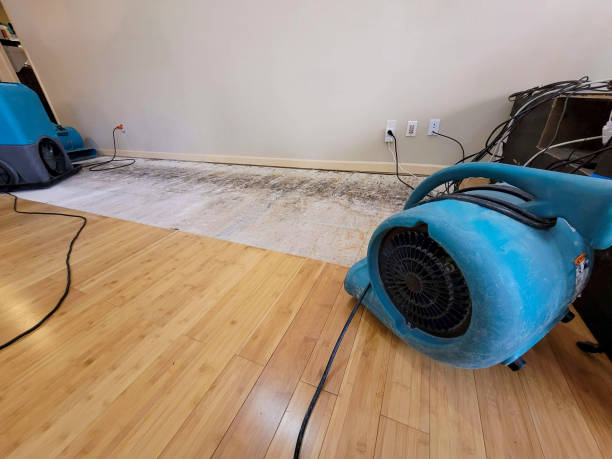 Professional Basement Flood Cleanup technician working in Wellfleet, MA